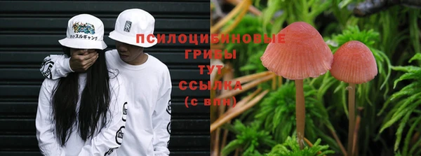 стафф Балахна