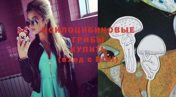 стафф Балахна